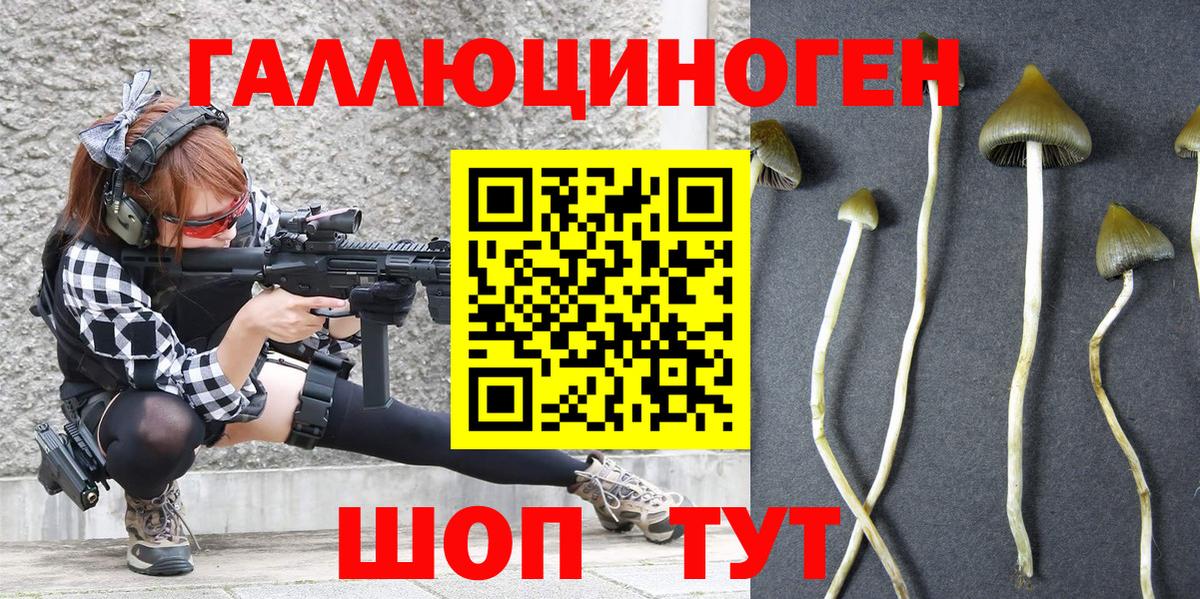 Псилоцибиновые грибы прущие грибы Мариинск