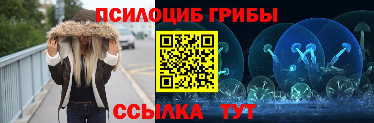 Мариинск  Псилоцибиновые грибы прущие грибы  Вход с VPN 